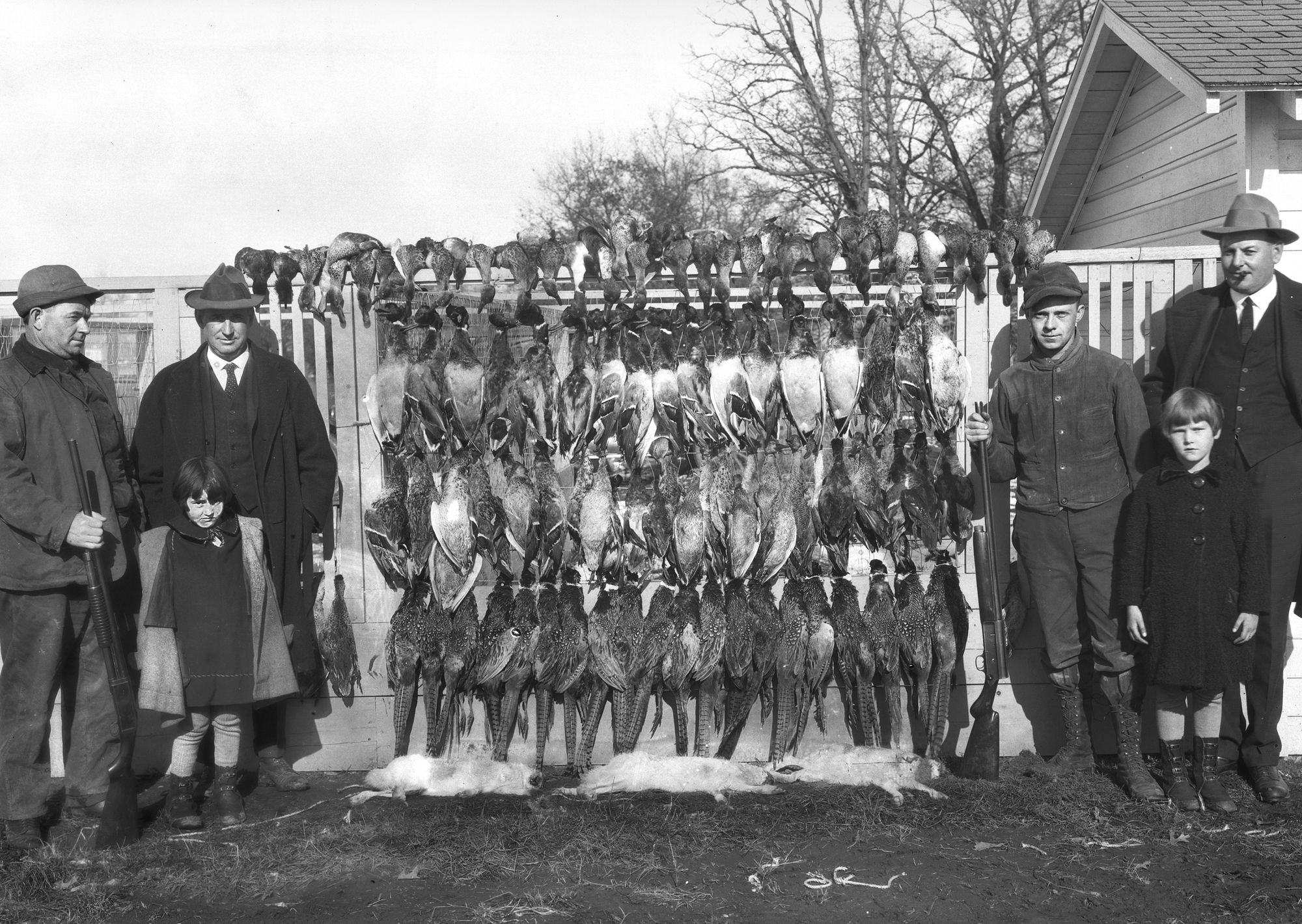 Pheasant shoot